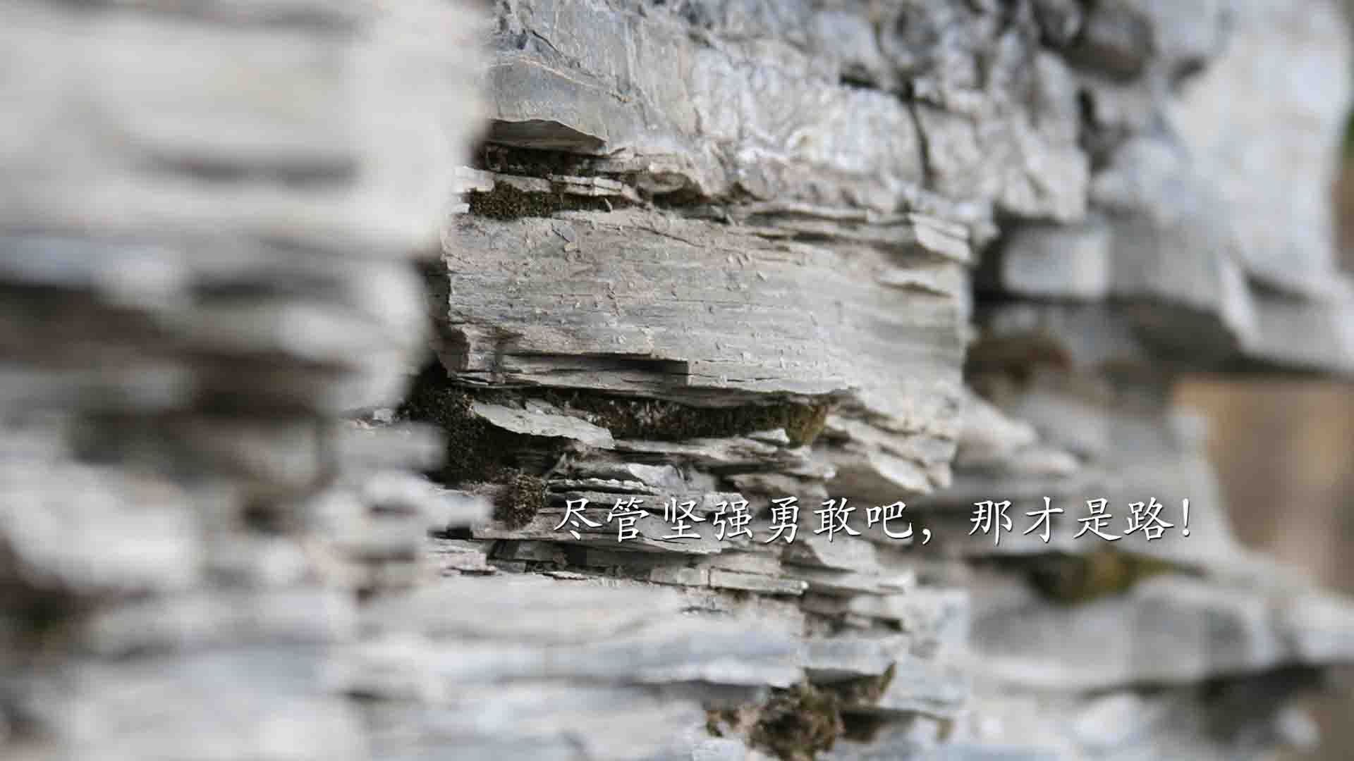 WRC新赛季揭幕 战火重燃各路豪强争锋,wrc赛段