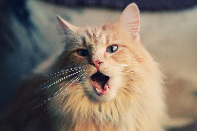 爱游戏体育-乌拉圭队前锋洛佩斯在巴黎奥运会上表现出色，拉齐奥洛佩斯